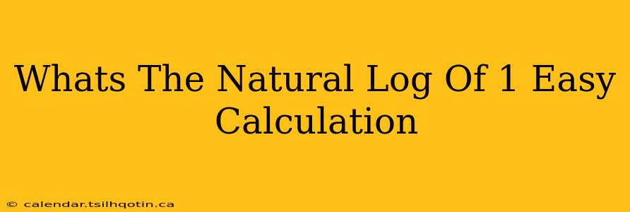 Whats The Natural Log Of 1 Easy Calculation